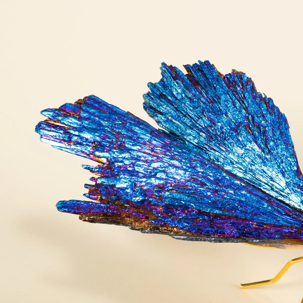 Aura Tourmaline Kyanite Dragonfly Figurine